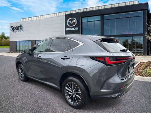 Used 2024 Lexus NX 350 AWD w/ Cold Area Package image 6