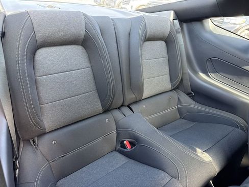 New 2026 Ford Mustang Coupe w/ Mustang Nite Pony Package image 15