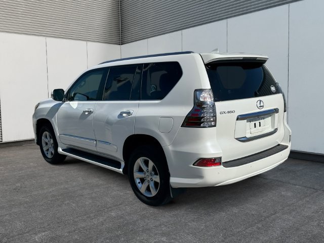 Used 2019 Lexus GX 460 AWD/4WD image 3