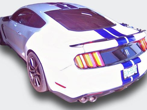 Used 2016 Ford Mustang Shelby GT350 RWD image 22