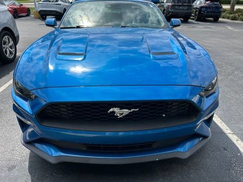 Used 2019 Ford Mustang Premium w/ Equipment Group 201A RWD image 12