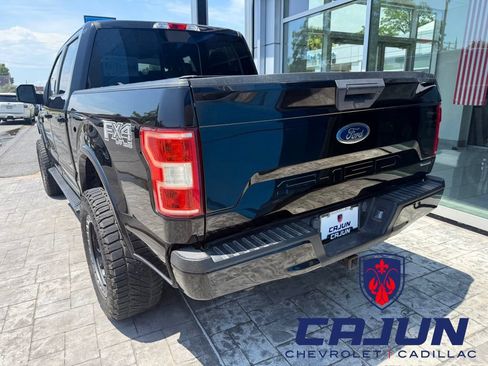 Used 2019 Ford F150 XLT w/ Equipment Group 302A Luxury AWD/4WD image 3
