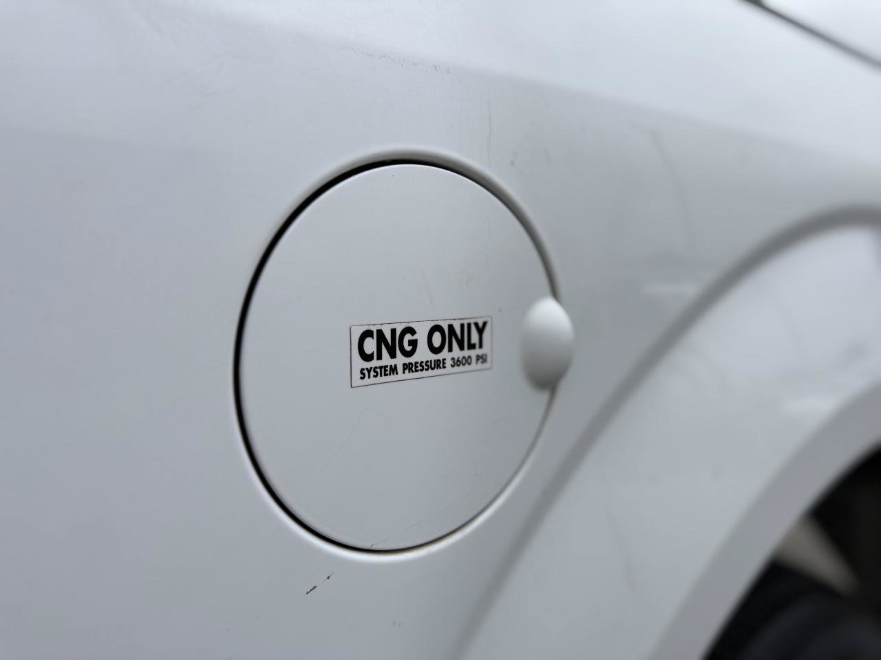 Used 2016 Ford F150 XL w/ XL Power Equipment Group RWD image 9