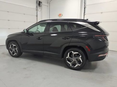 Used 2024 Hyundai Tucson Limited AWD/4WD image 6