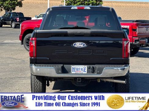Used 2025 Ford F150 XLT w/ Equipment Group 301A Standard AWD/4WD image 5
