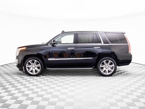 Used 2019 Cadillac Escalade Luxury image 5