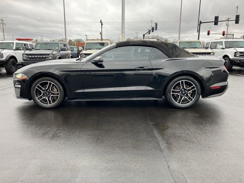 Used 2018 Ford Mustang Premium image 4