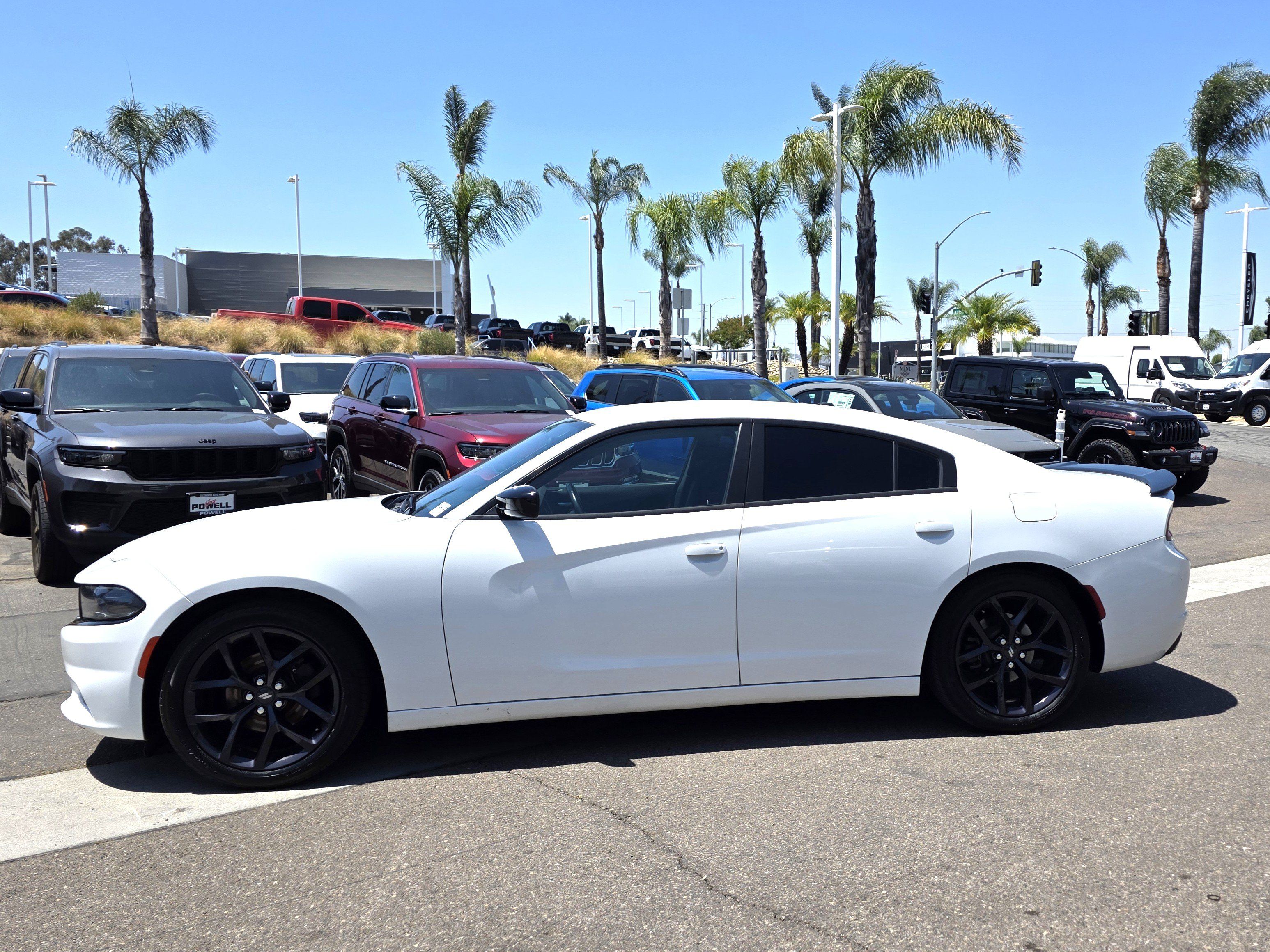 Used 2020 Dodge Charger SXT w/ Blacktop Package RWD image 2