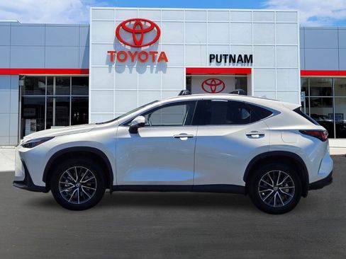 Used 2025 Lexus NX 250 FWD w/ Accessory Package (2T) image 7