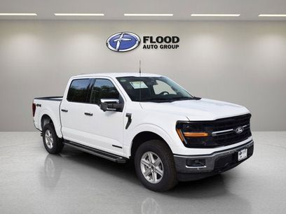 New 2025 Ford F150 XLT w/ Equipment Group 302A MID