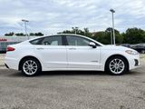 Used 2019 Ford Fusion SE image 3