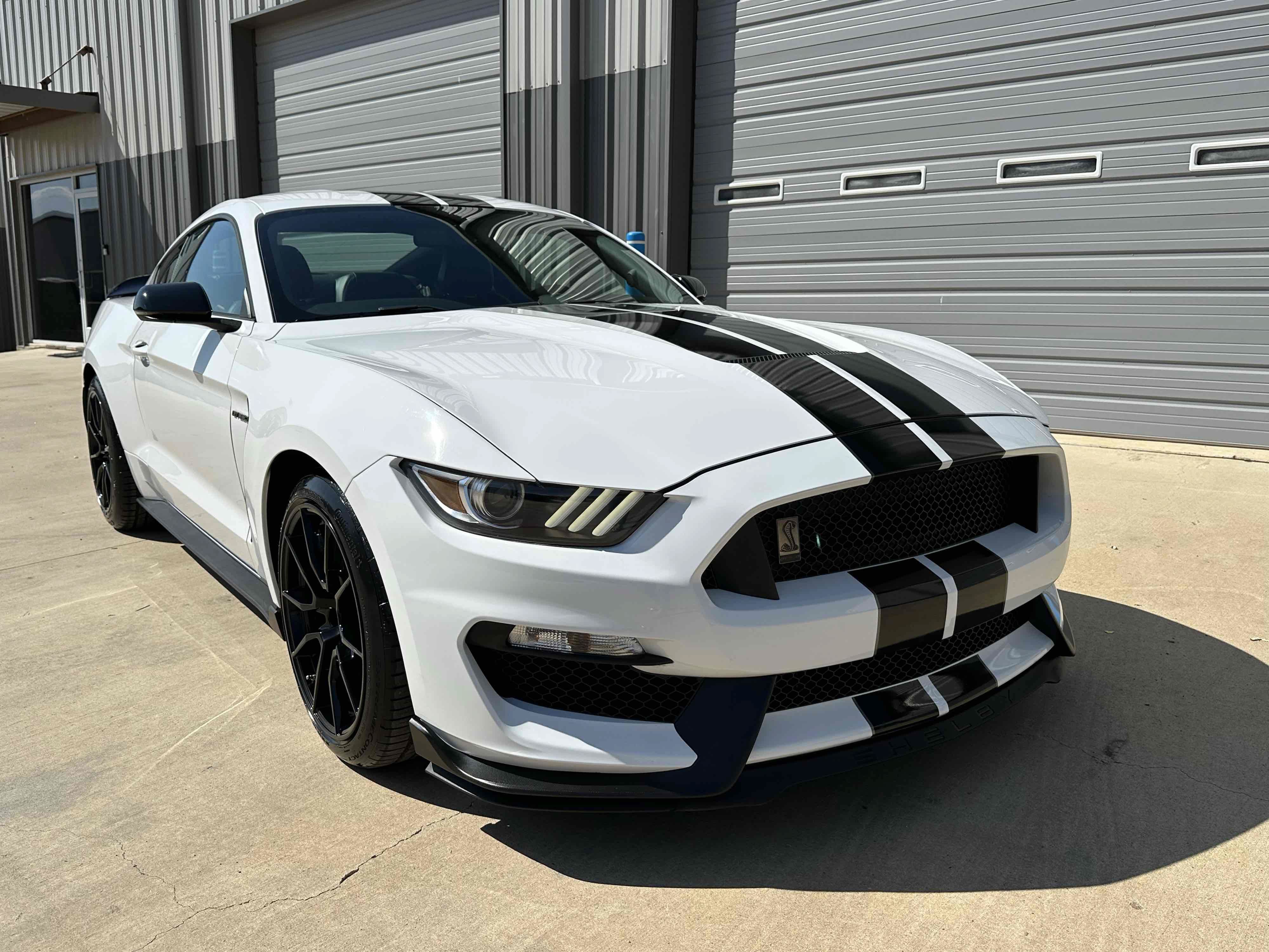 Used 2019 Ford Mustang Shelby GT350 w/ Technology Package RWD image 14