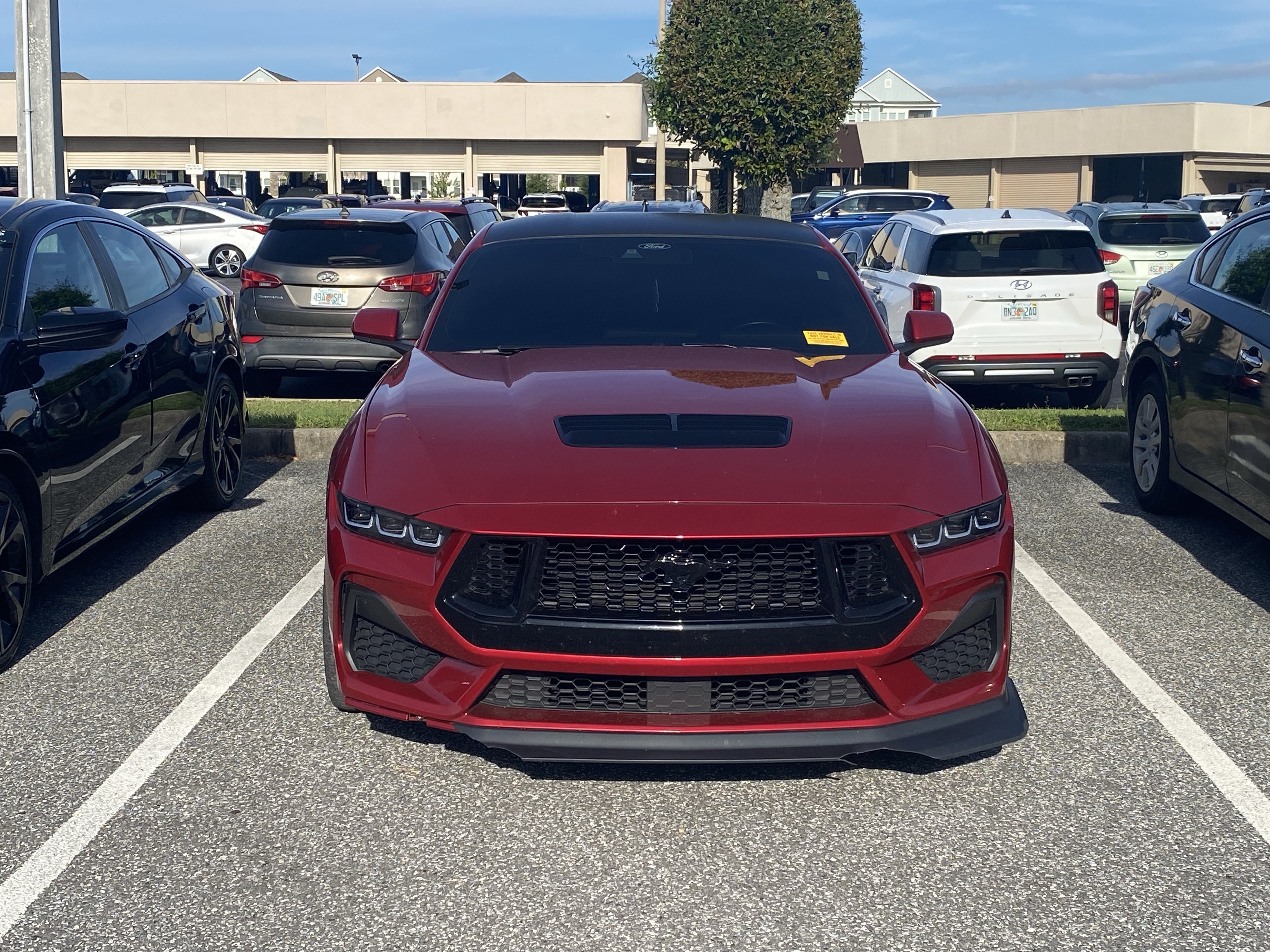 Used 2024 Ford Mustang GT RWD image 2