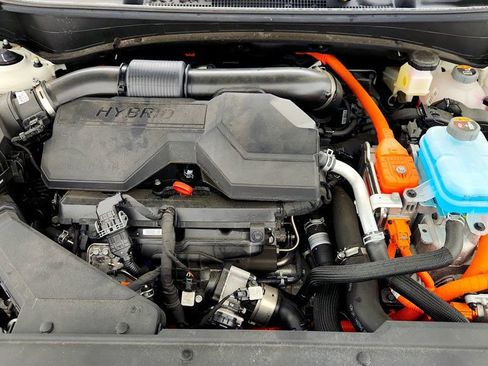 Used 2025 Kia Sportage X-Line image 28