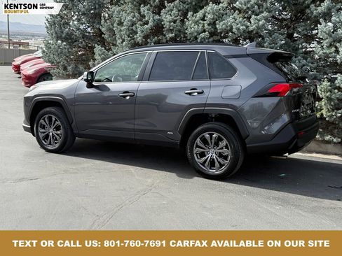 Used 2025 Toyota RAV4 XLE Premium image 5