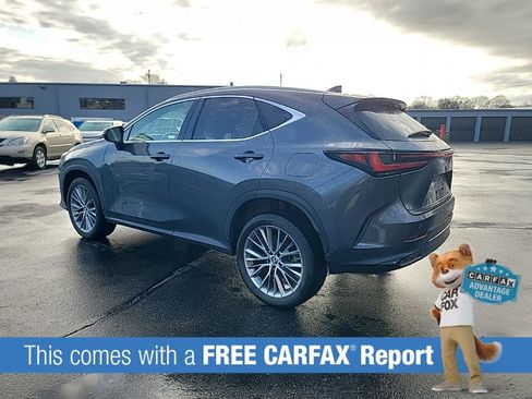 Used 2023 Lexus NX 350h AWD w/ Cold Area Package image 3