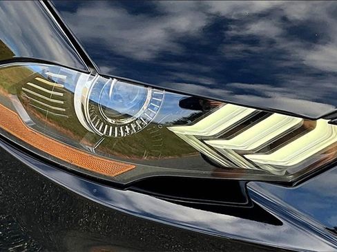 Used 2019 Ford Mustang GT Premium w/ Equipment Group 401A image 28