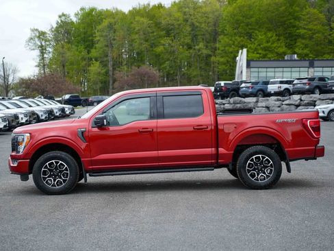 Used 2023 Ford F150 XLT w/ Equipment Group 302A High AWD/4WD image 8