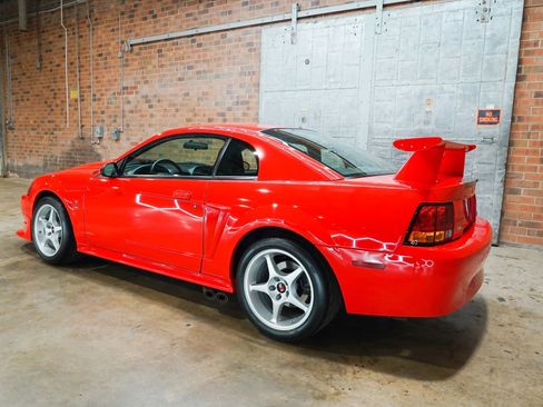Used 2000 Ford Mustang Cobra RWD image 12