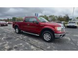 Used 2013 Ford F150 XLT w/ Luxury Equipment Group image 2