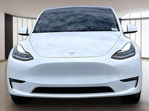 Used 2023 Tesla Model Y Long Range AWD/4WD image 2