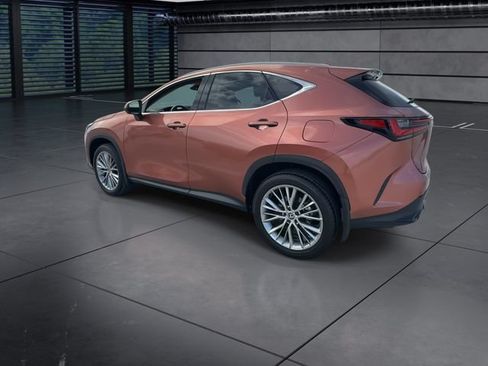 Used 2025 Lexus NX 350 AWD w/ Cold Area Package image 6