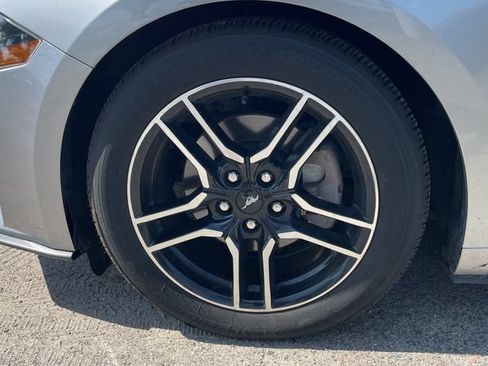 Used 2020 Ford Mustang Premium RWD image 11