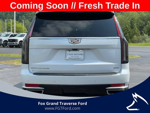 Used 2023 Cadillac Escalade Premium Luxury w/ Performance Package AWD/4WD image 56