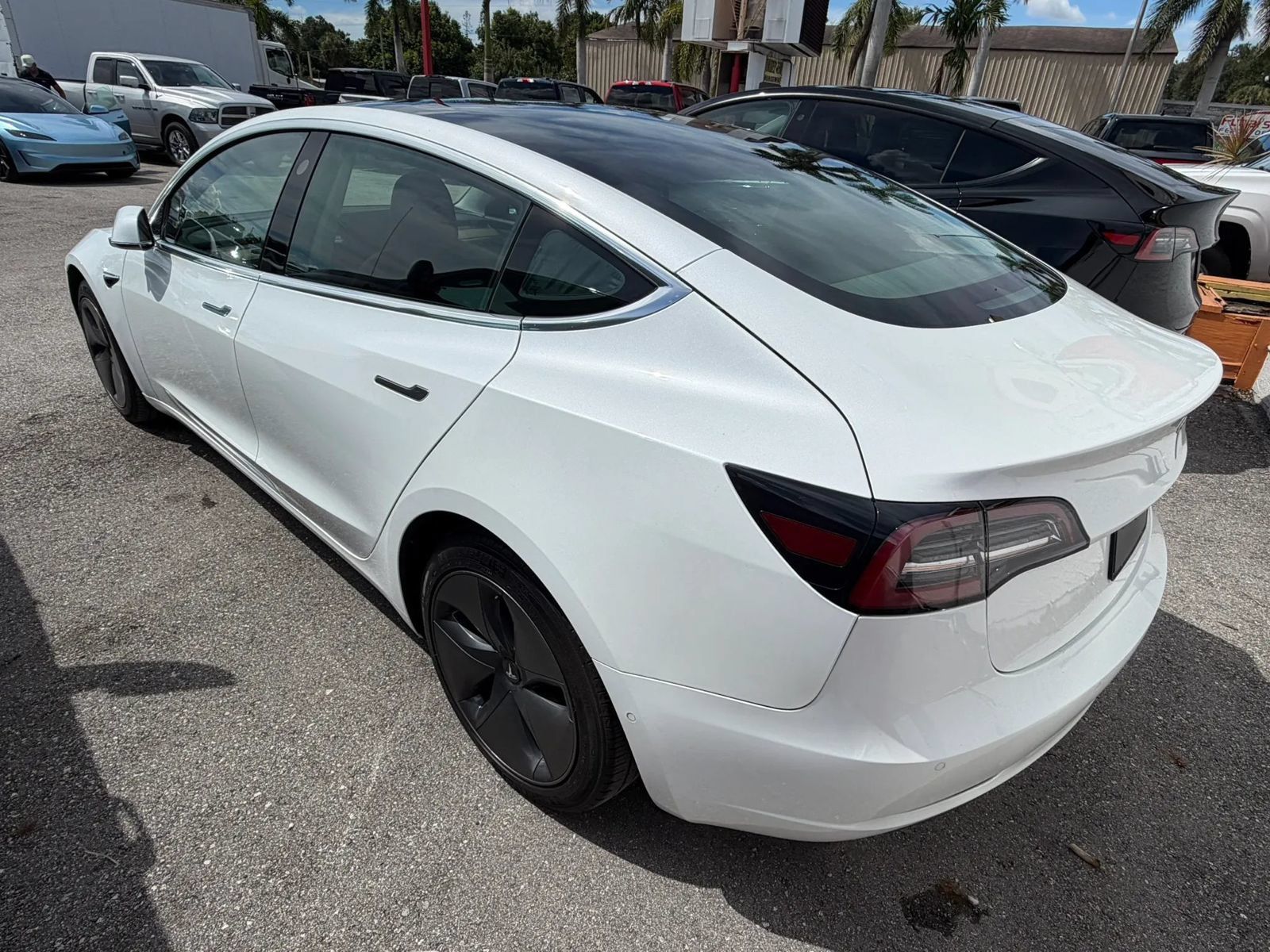 Used 2019 Tesla Model 3 Long Range AWD/4WD image 6