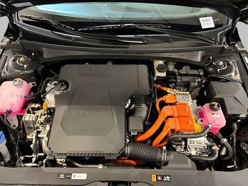 New 2025 Hyundai Elantra Limited image 44