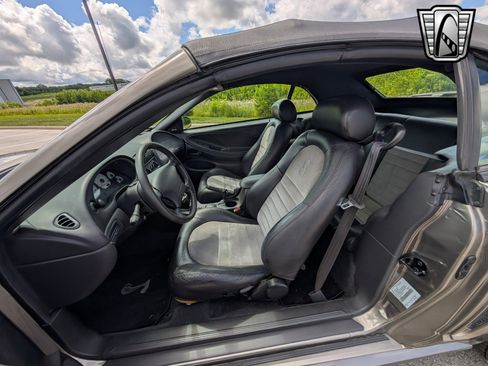 Used 2001 Ford Mustang Cobra image 19