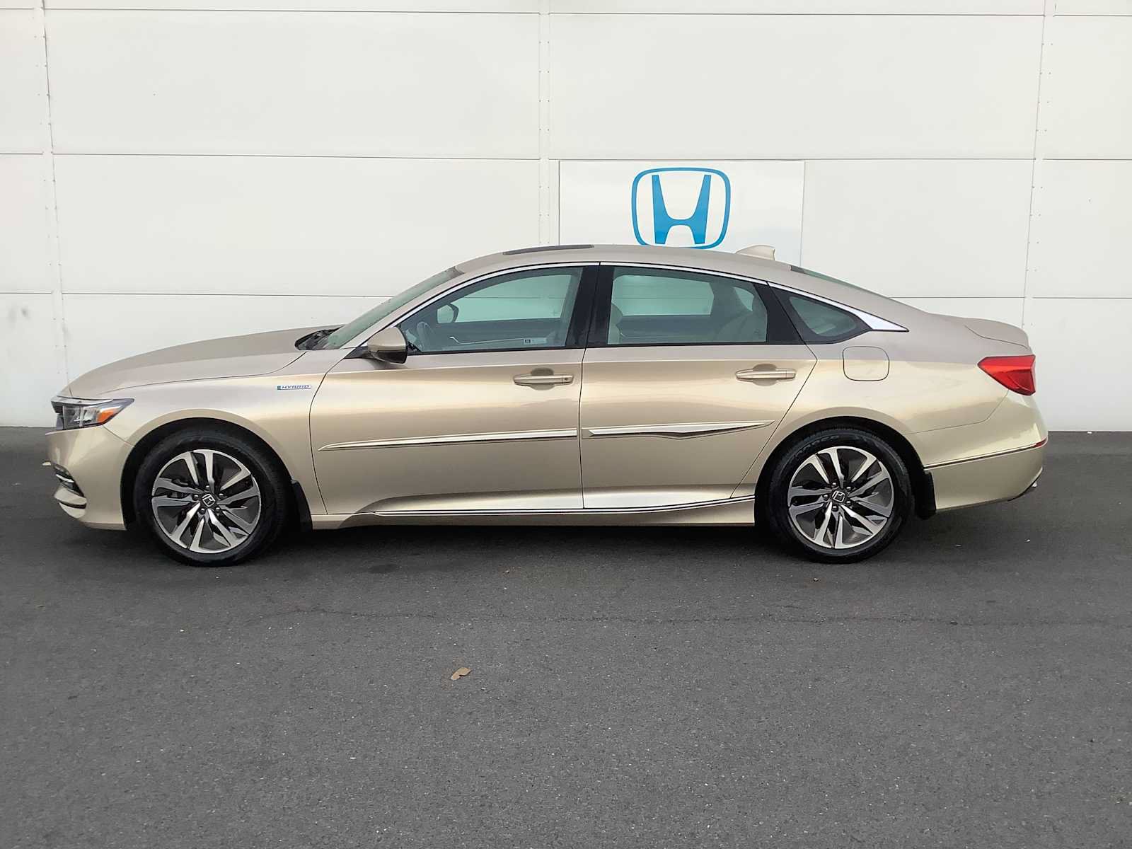 Certified 2019 Honda Accord EX-L image 2