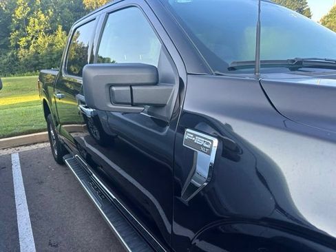 Used 2025 Ford F150 XLT w/ Equipment Group 301A Standard RWD image 6