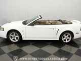 Used 1999 Ford Mustang Cobra image 2