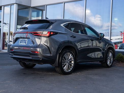 Used 2025 Lexus NX 350h AWD w/ Premium Package image 6