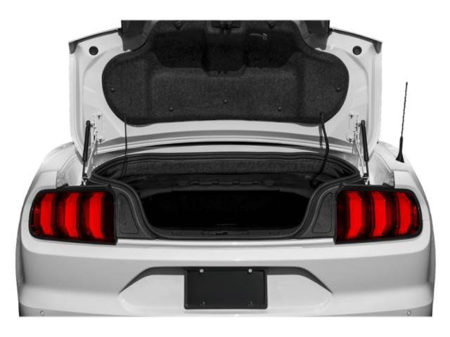 Used 2019 Ford Mustang GT Premium w/ Equipment Group 401A RWD image 14