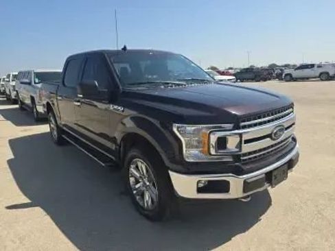Used 2019 Ford F150 XLT w/ Equipment Group 302A Luxury AWD/4WD image 5