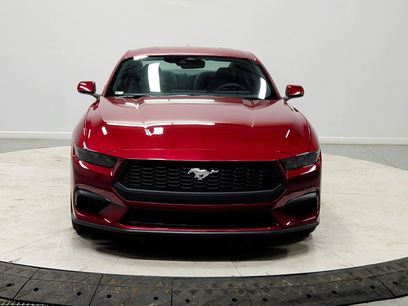 New 2026 Ford Mustang Premium