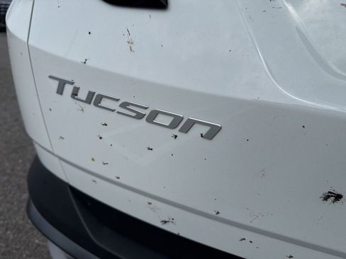 Used 2025 Hyundai Tucson SEL FWD image 12