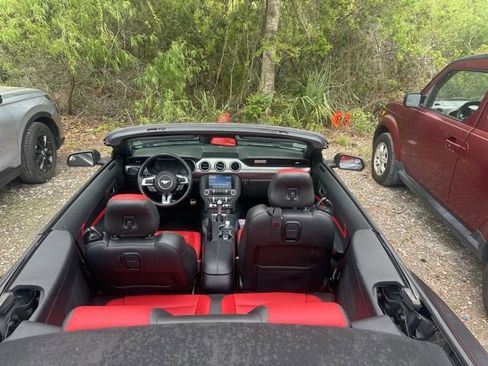 Used 2018 Ford Mustang Premium w/ Equipment Group 201A image 32