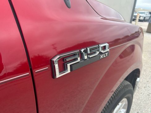 Used 2019 Ford F150 XLT w/ Equipment Group 302A Luxury RWD image 3