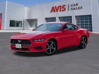 Used 2024 Ford Mustang Premium