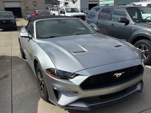 Used 2022 Ford Mustang Premium image 1
