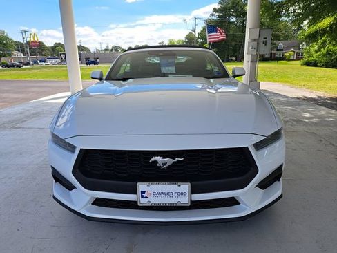 Used 2025 Ford Mustang Premium RWD image 2