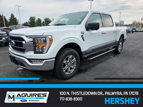 Used 2023 Ford F150 XLT w/ Equipment Group 302A High image 1