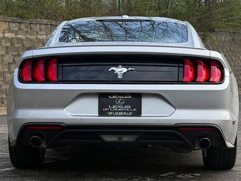 Used 2019 Ford Mustang Premium w/ Equipment Group 201A RWD image 4