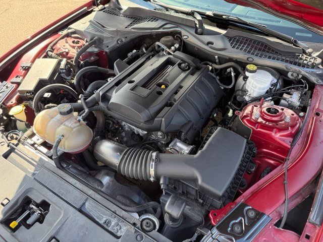 Certified 2019 Ford Mustang Coupe w/ Equipment Group 101A RWD image 41