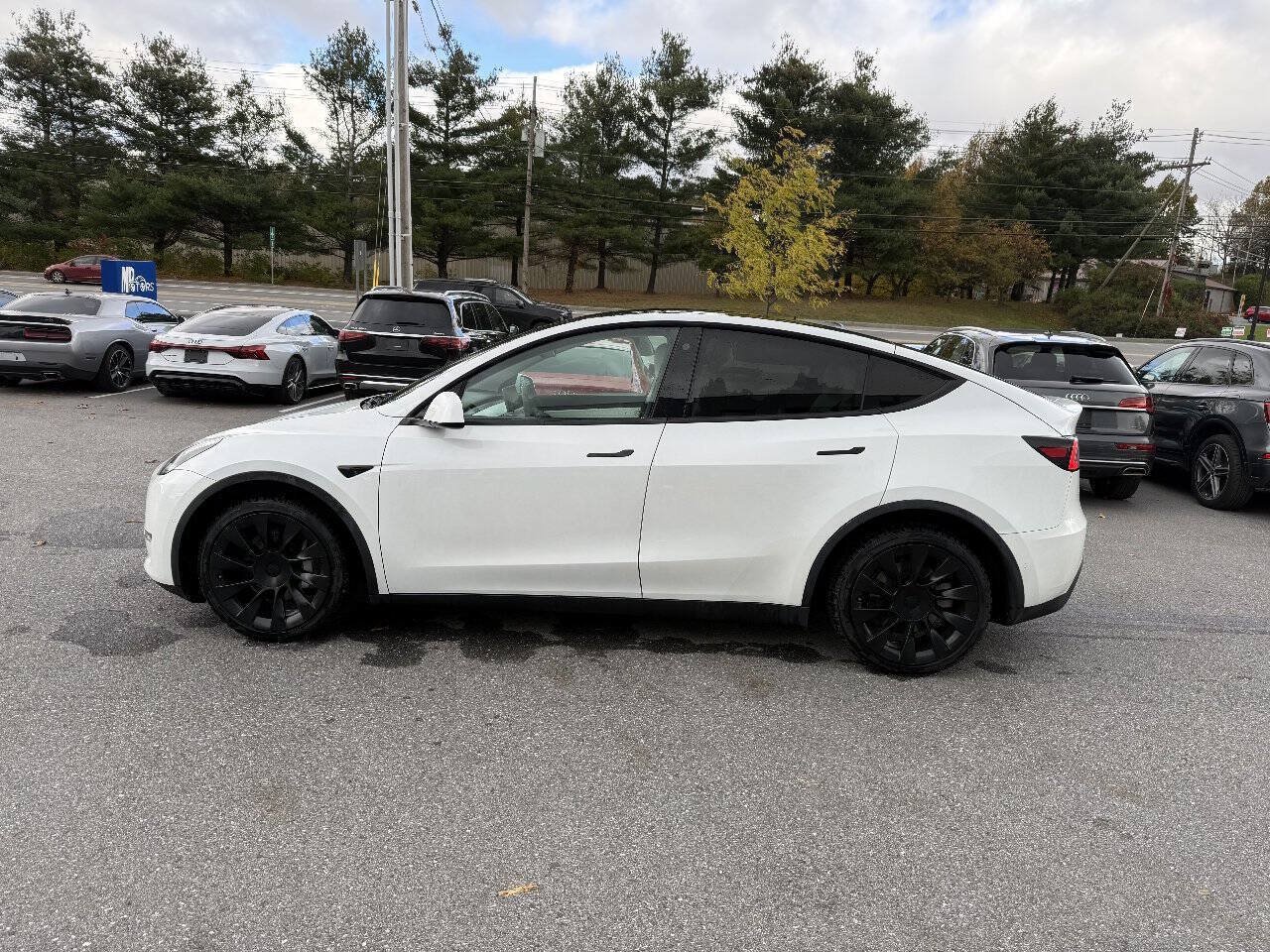 Used 2021 Tesla Model Y Long Range AWD/4WD image 10
