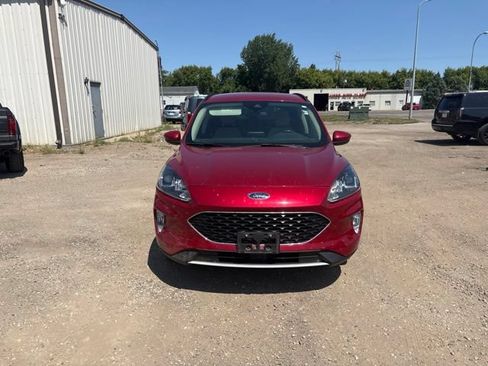 Used 2020 Ford Escape SEL AWD/4WD image 4