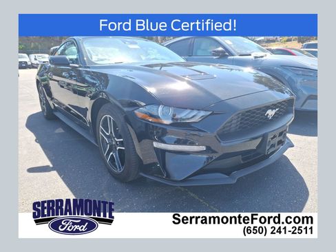 Used 2021 Ford Mustang Coupe w/ Equipment Group 101A image 1